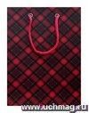 Пакет подарочный бумажный "Шотландская клетка" Пакет подарочный бумажный "Шотландская клетка"